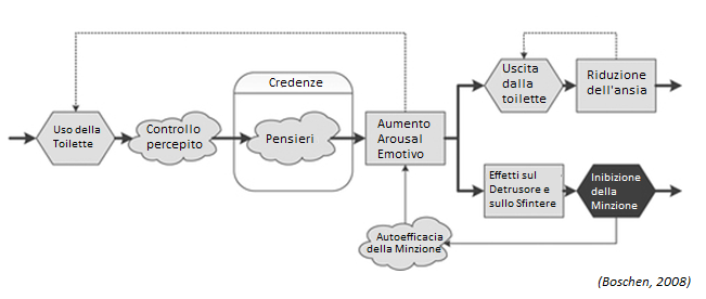 parusesis